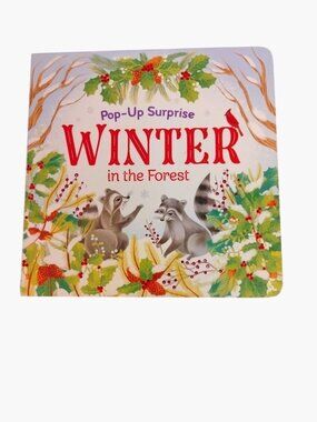 Pop Up Surprise Winter in the Forest Rusty Finch 2019 Childrens Board Book